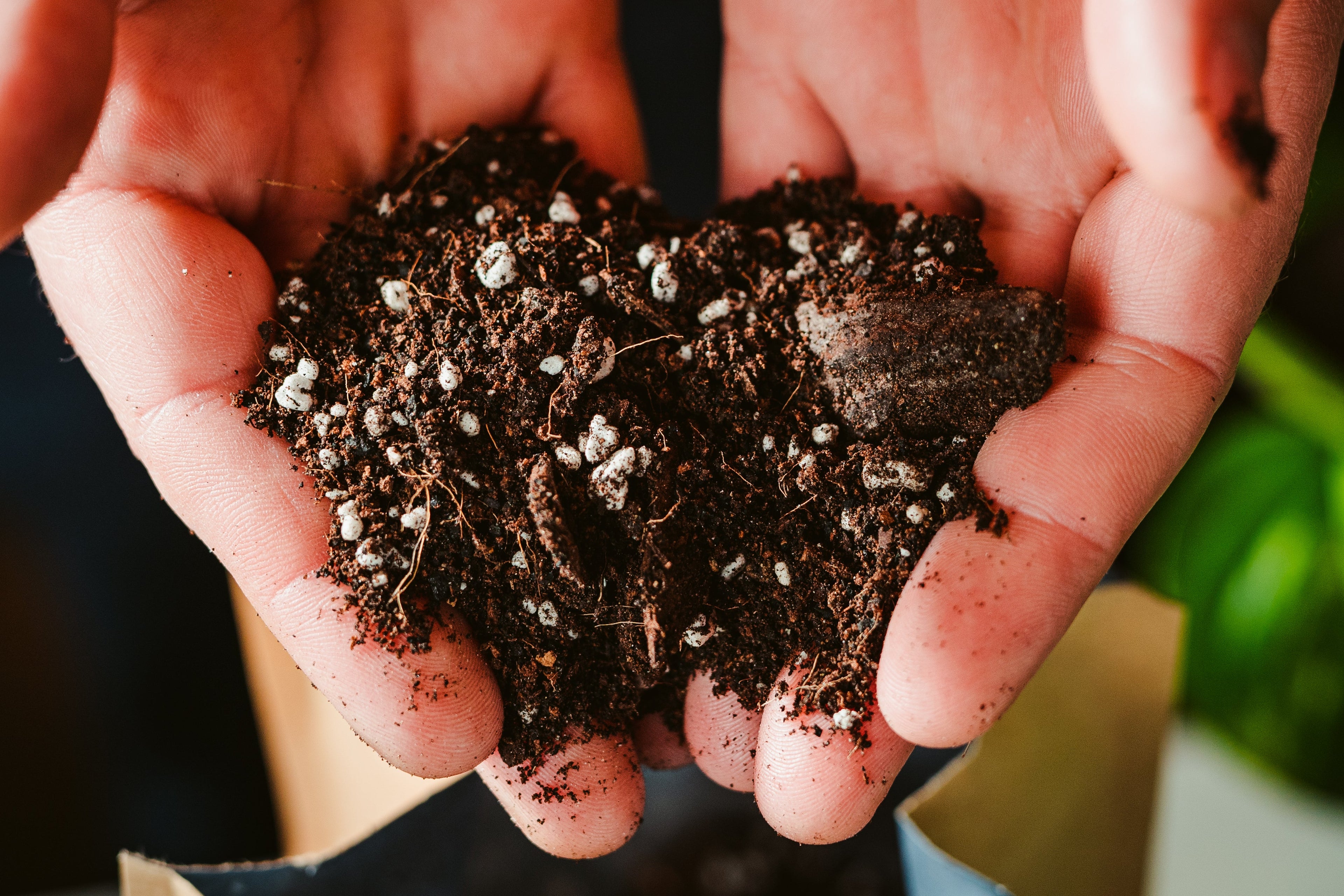 Soil and Plant Tools