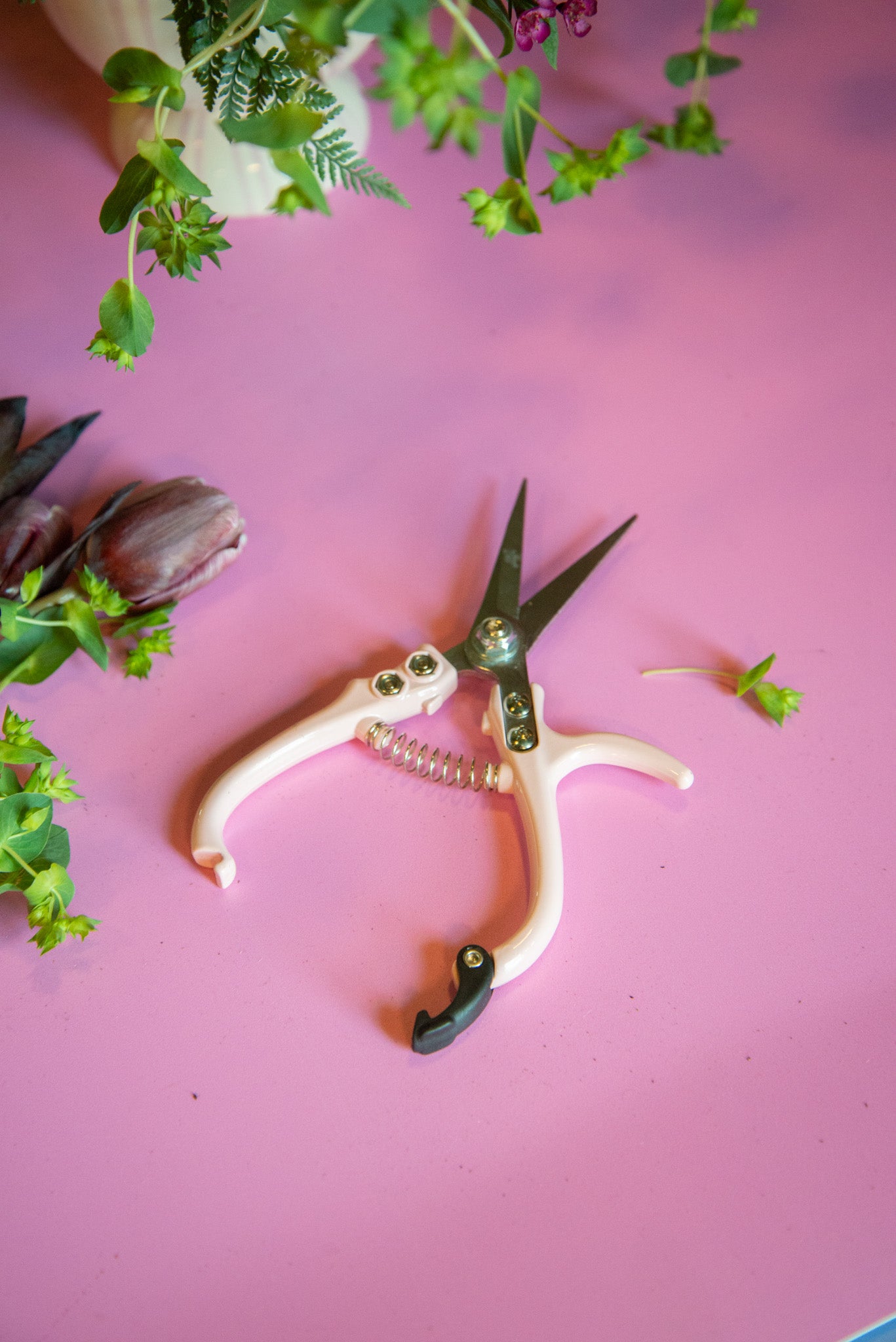 FREE Plant Care 101 Class