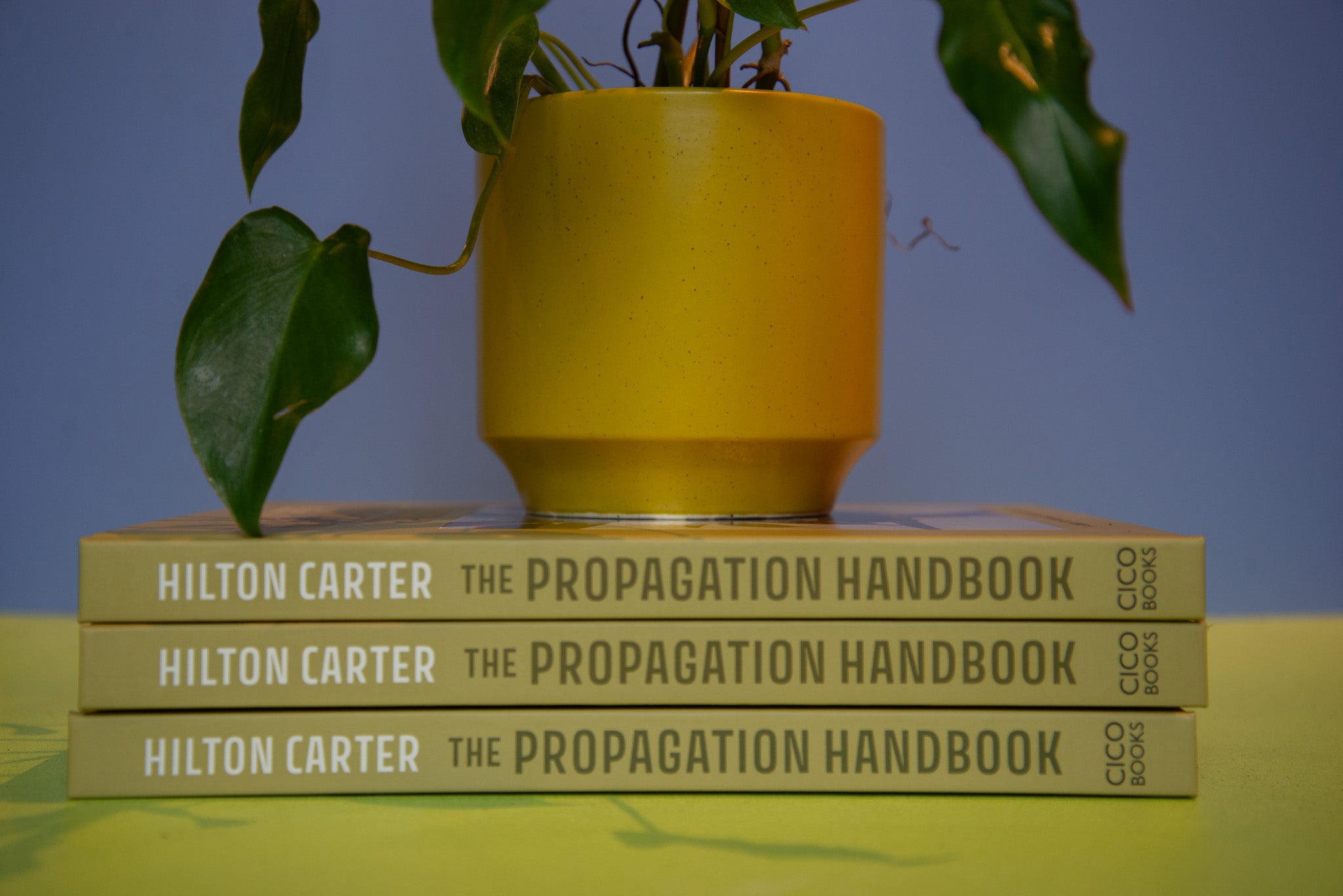 Propagation Handbook