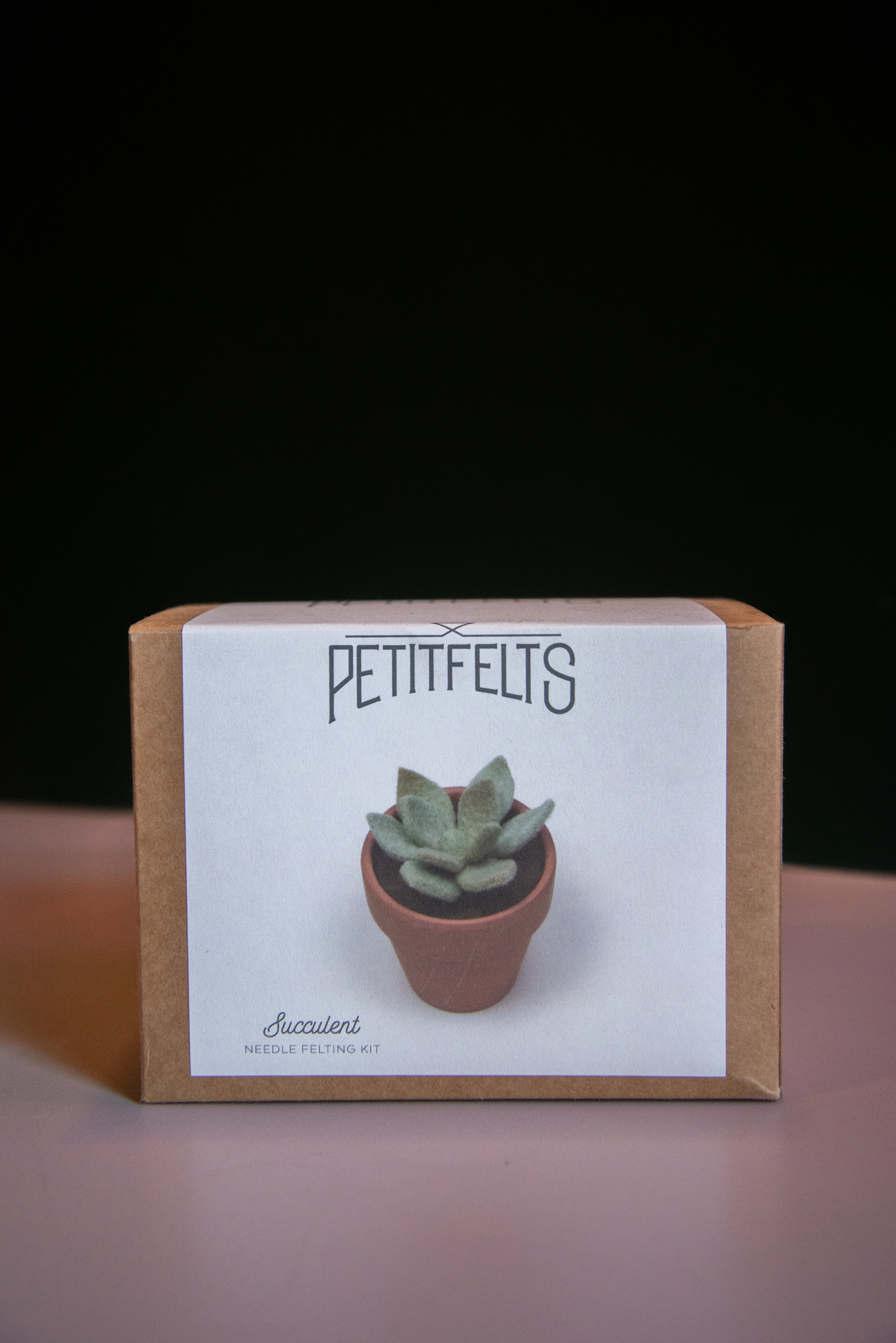 Succulent Felting Kit