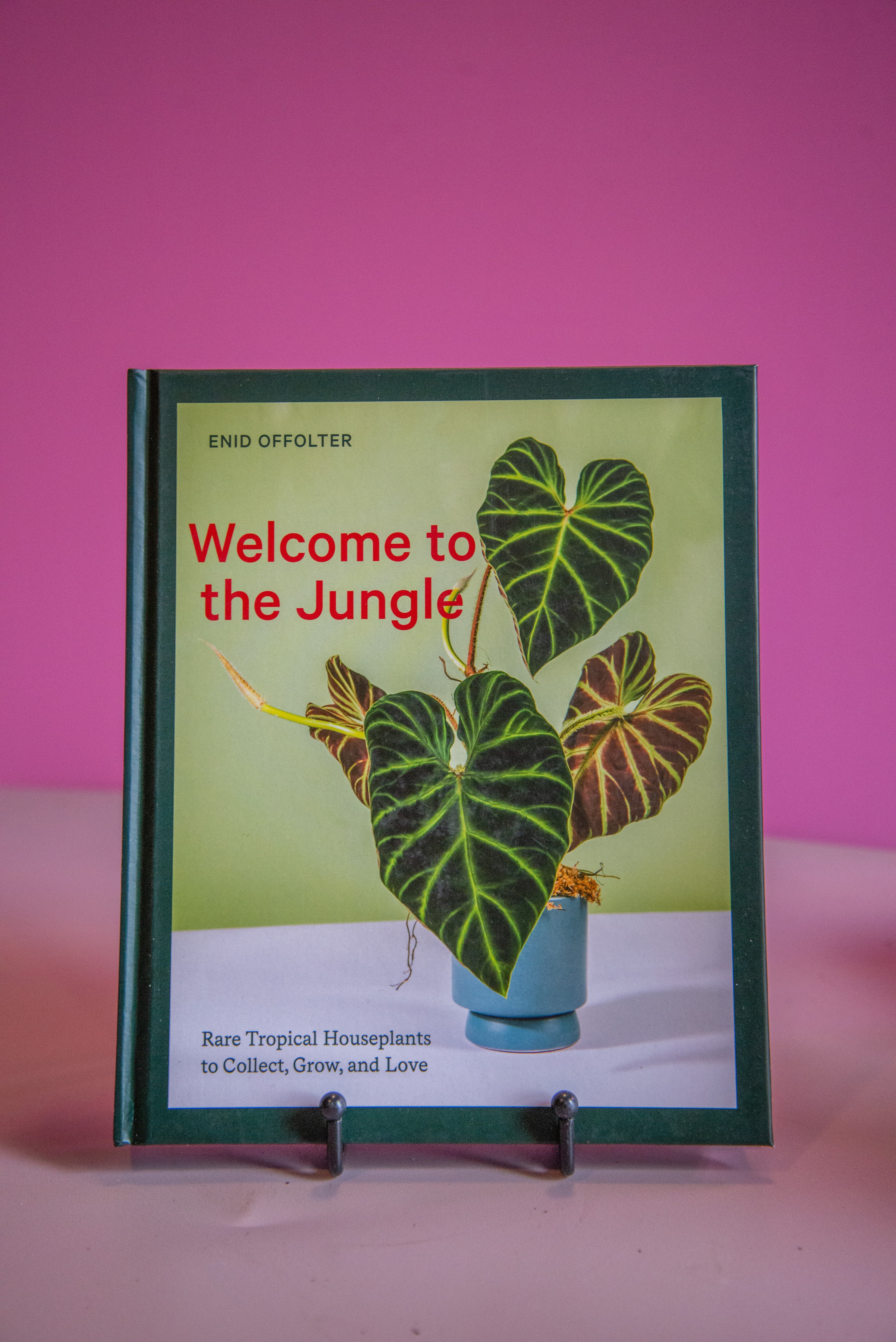 Welcome to the Jungle