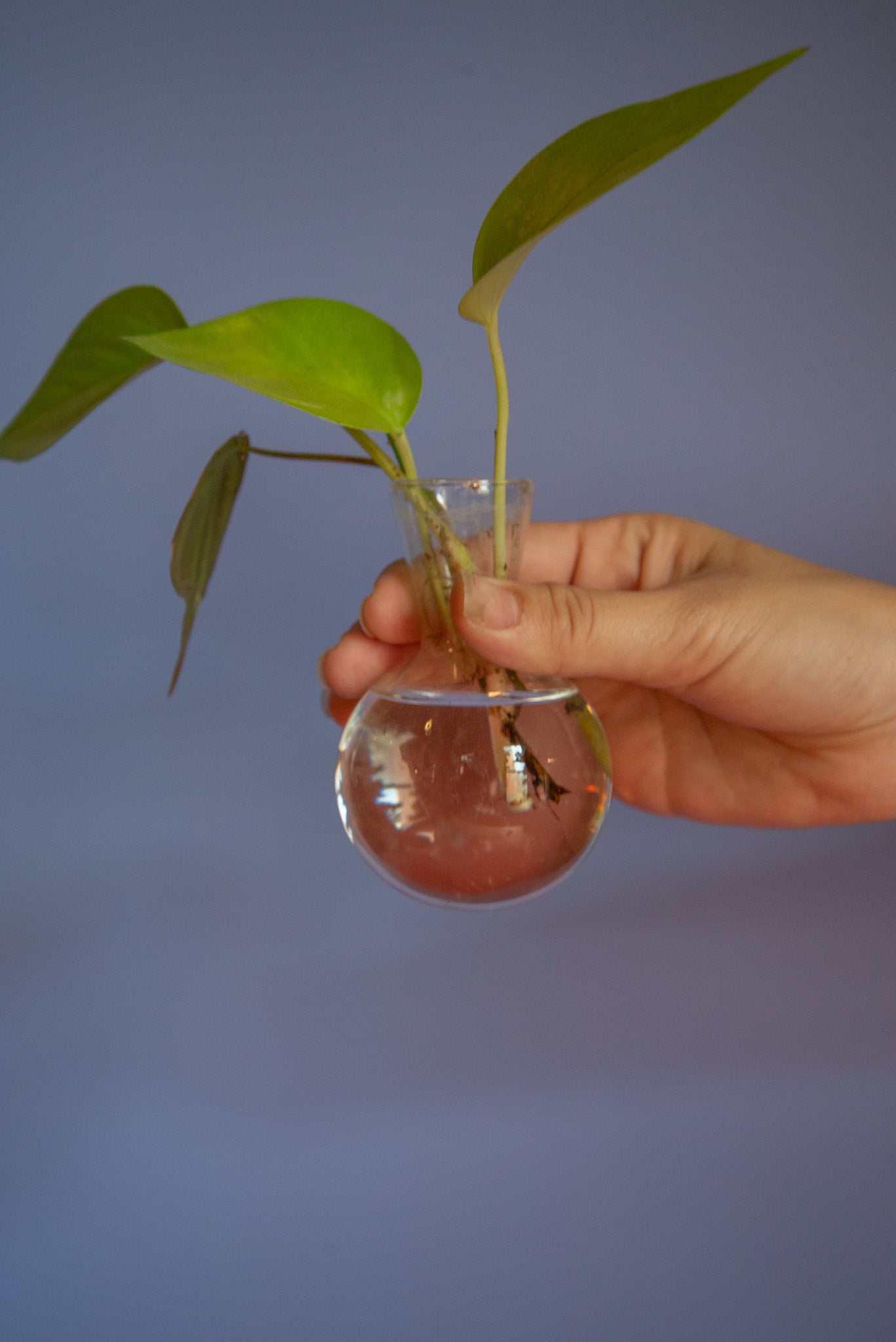 Propagation Workshop