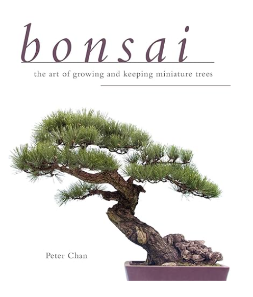 Bonsai by Peter Chan