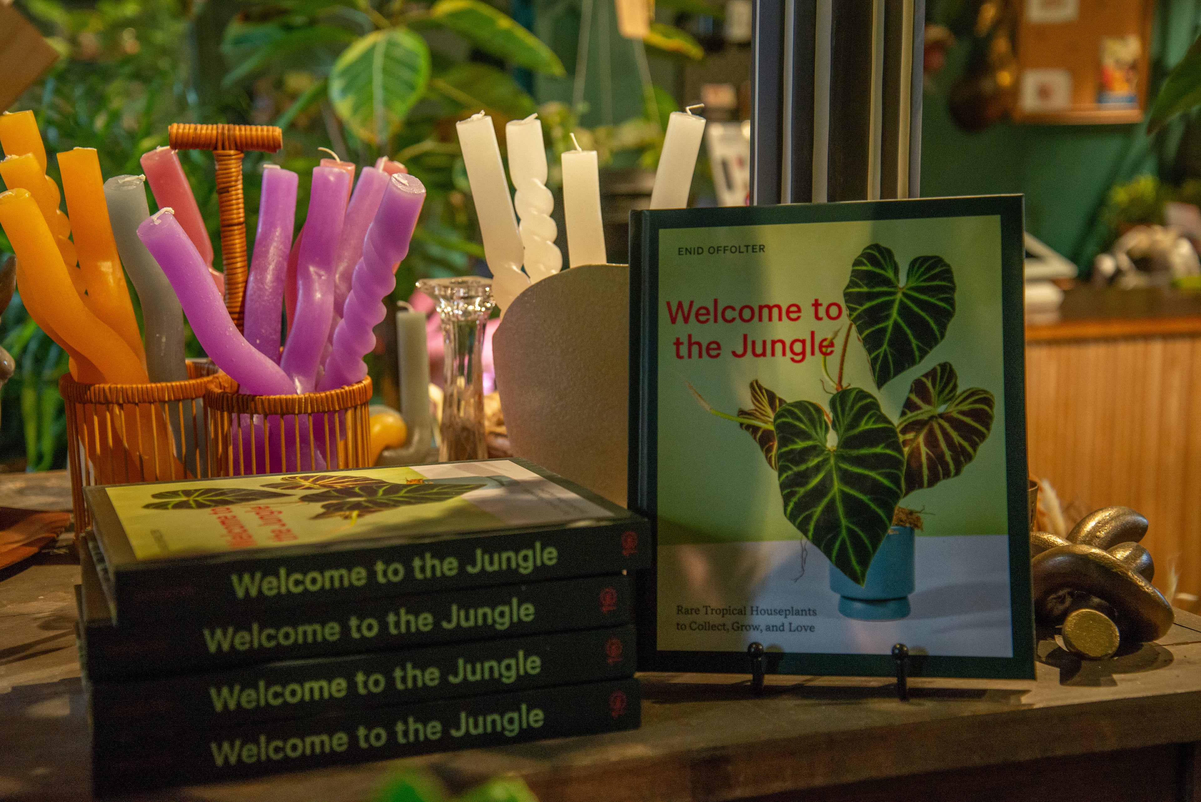 Welcome to the Jungle