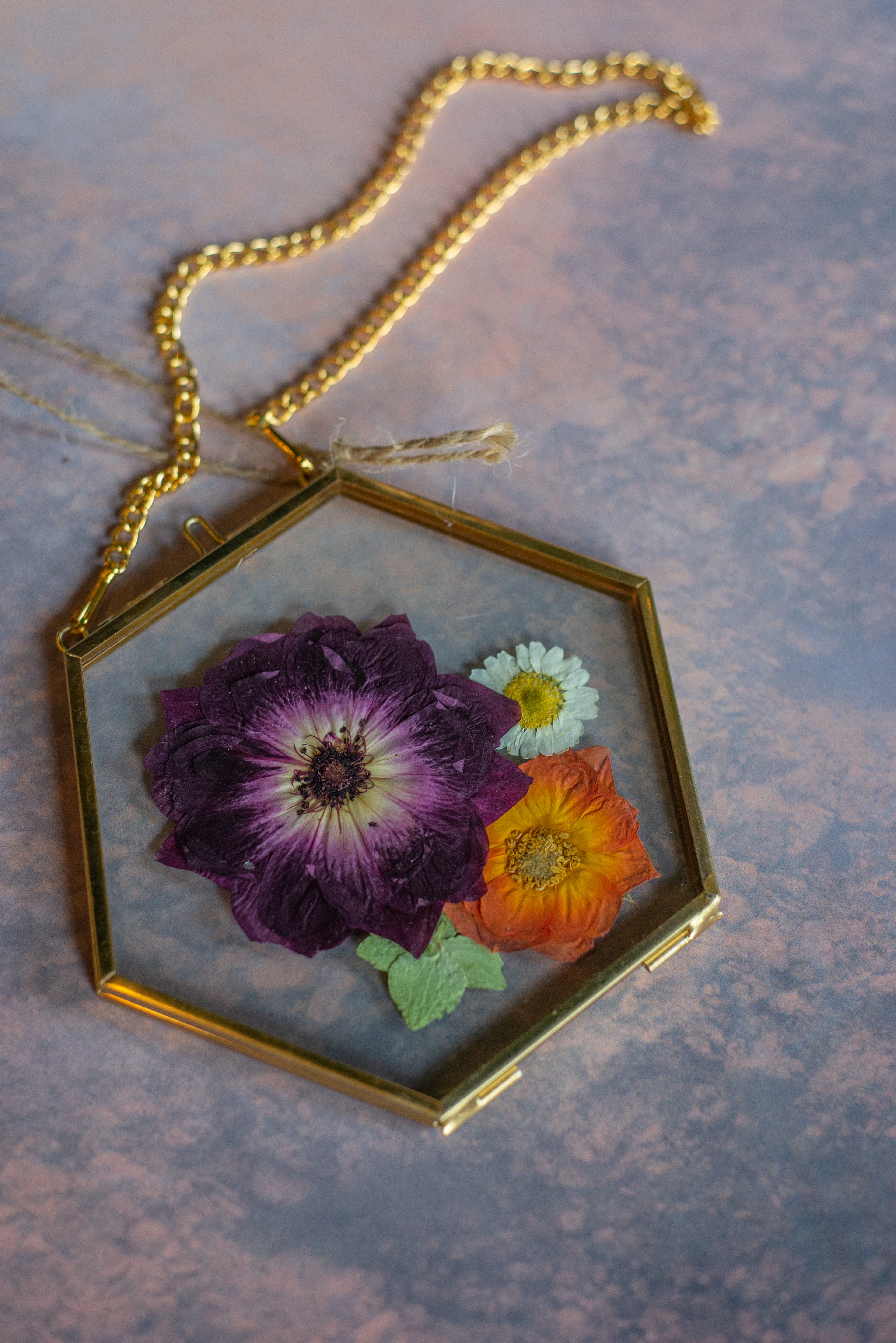 Pressed Flower Frames (DC)