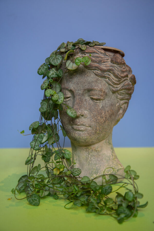 Antheia Planter