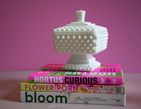 Bloom