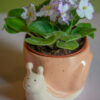 African Violet 4" - Image 3