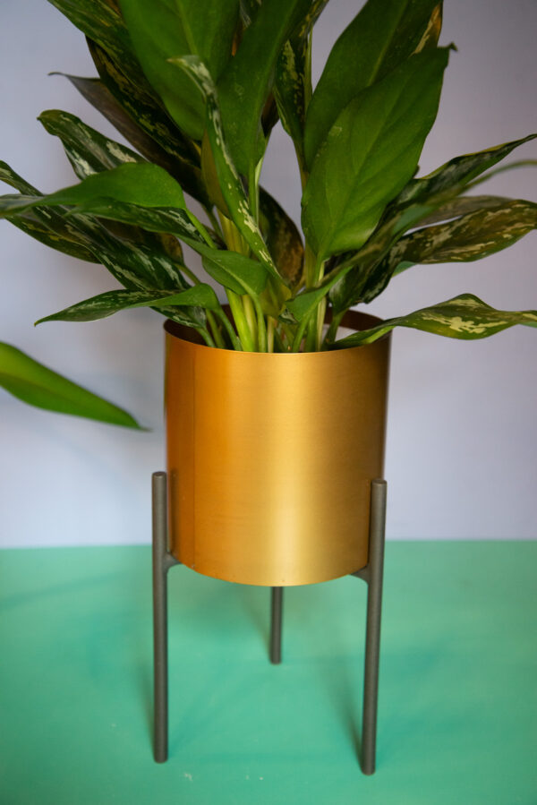 Clara Planter w/stand