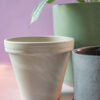 Grey Terracotta - Image 2