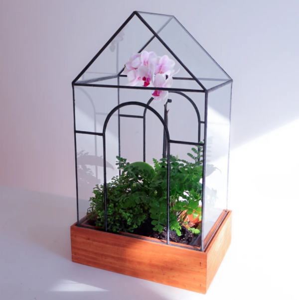 Temple Terrarium